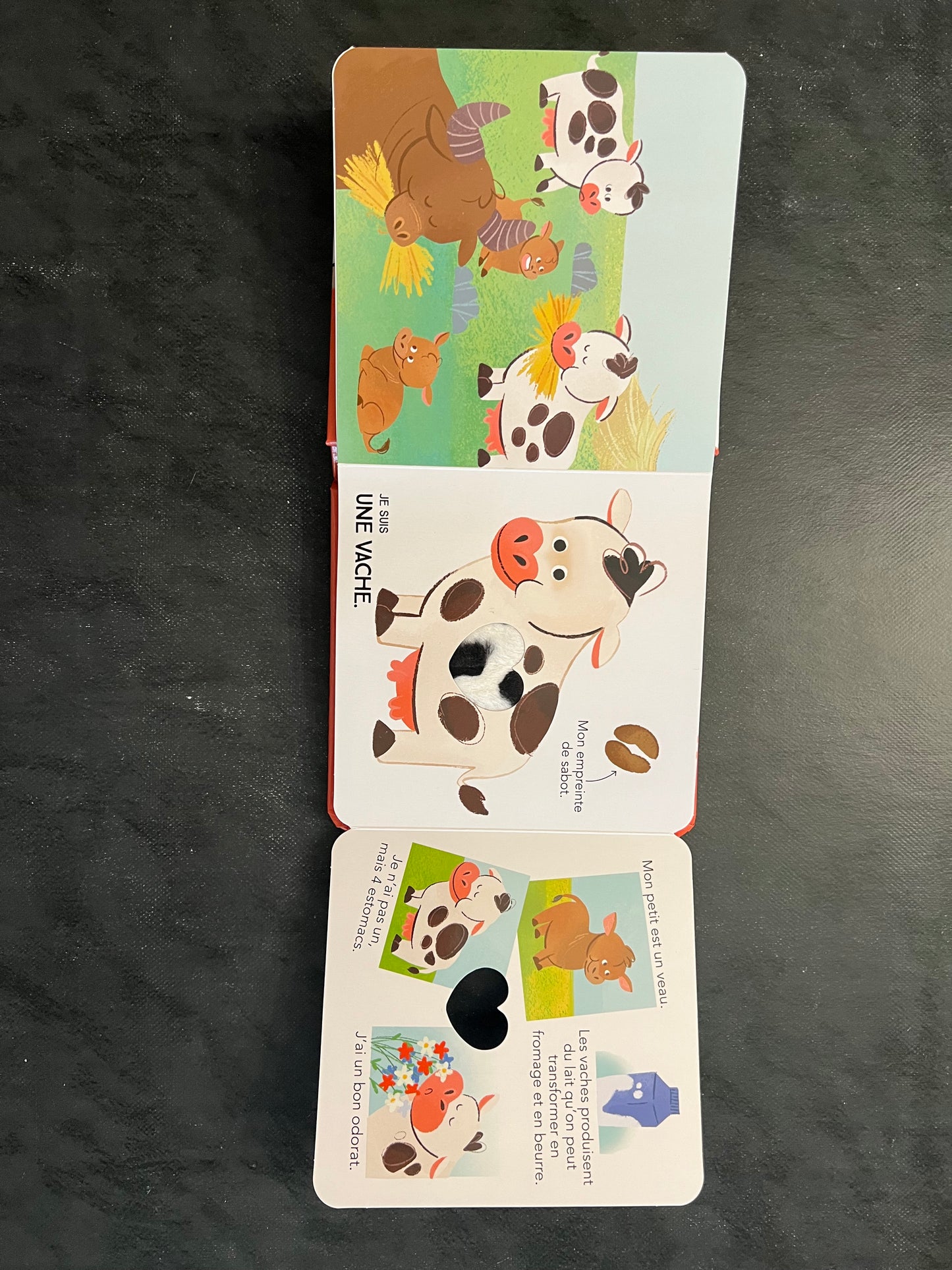 Qui suis-je ? Les animaux de la ferme – Livre-jeu dès 3 ans