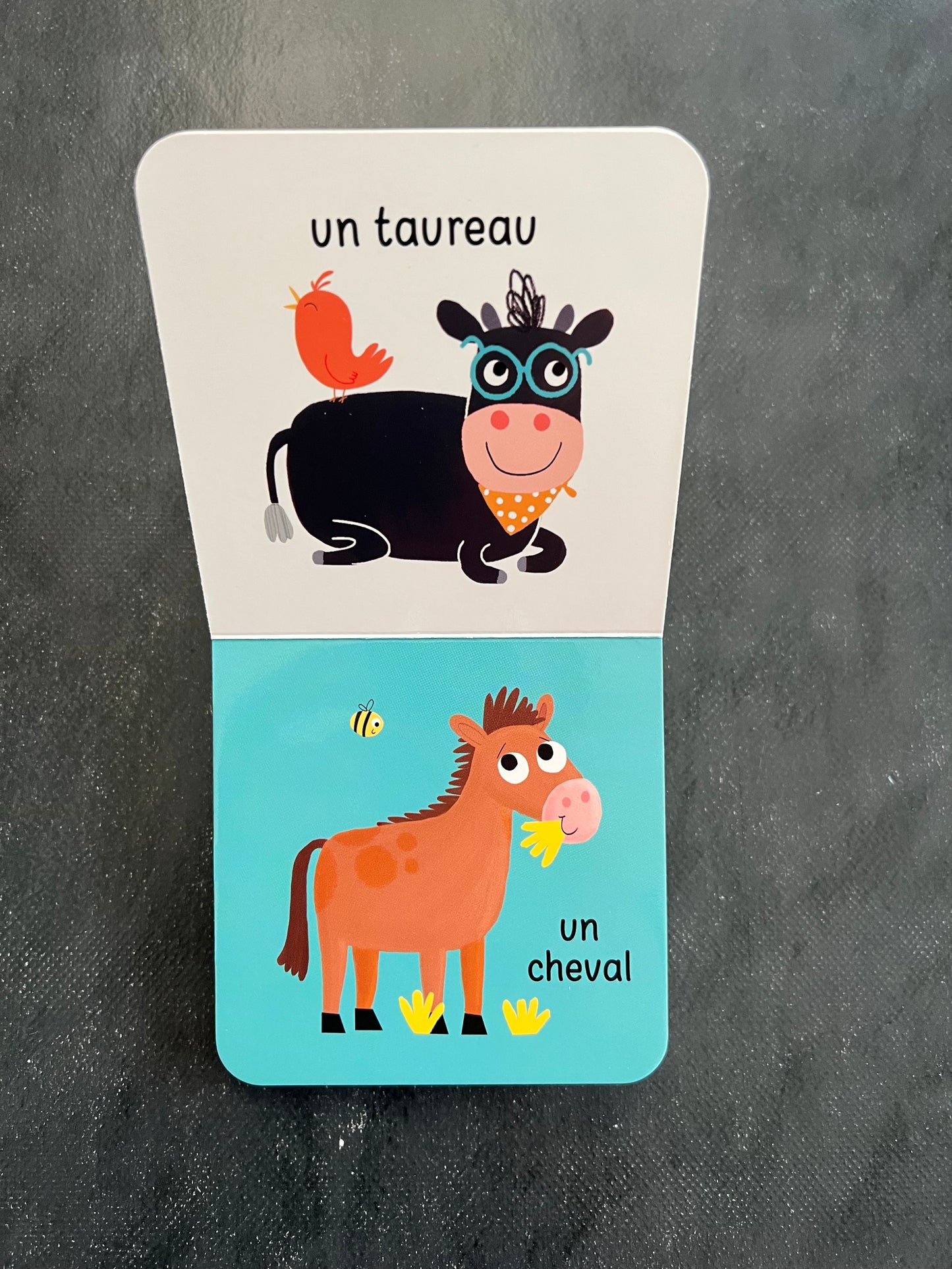 Livre-hochet - Ma ferme - Découvertes sensorielles 0-12 mois