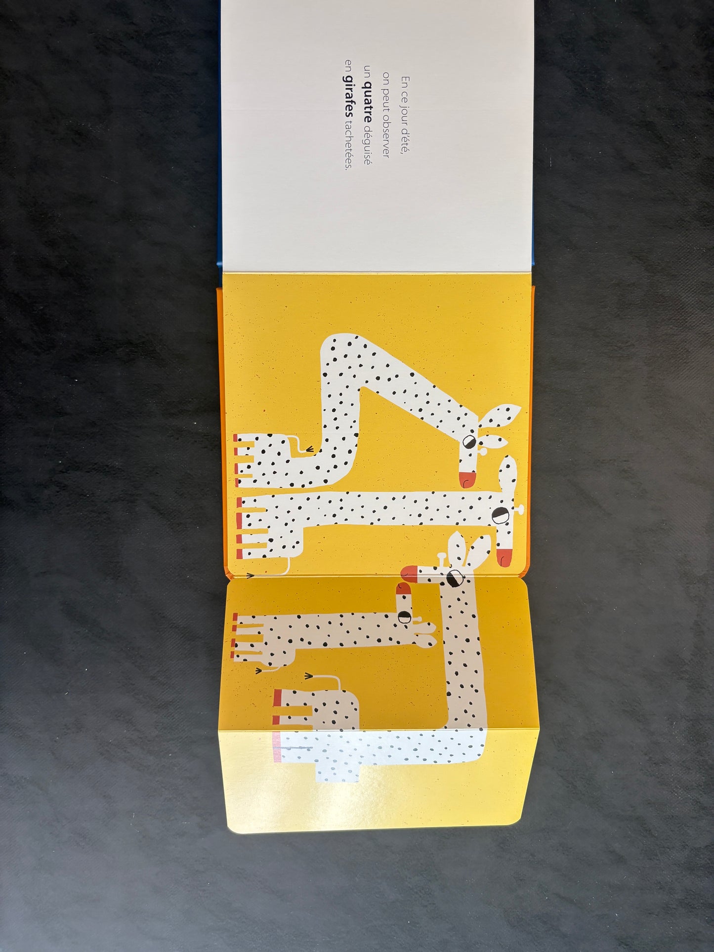 Livre ouvre et découvre - Un, deux... oies