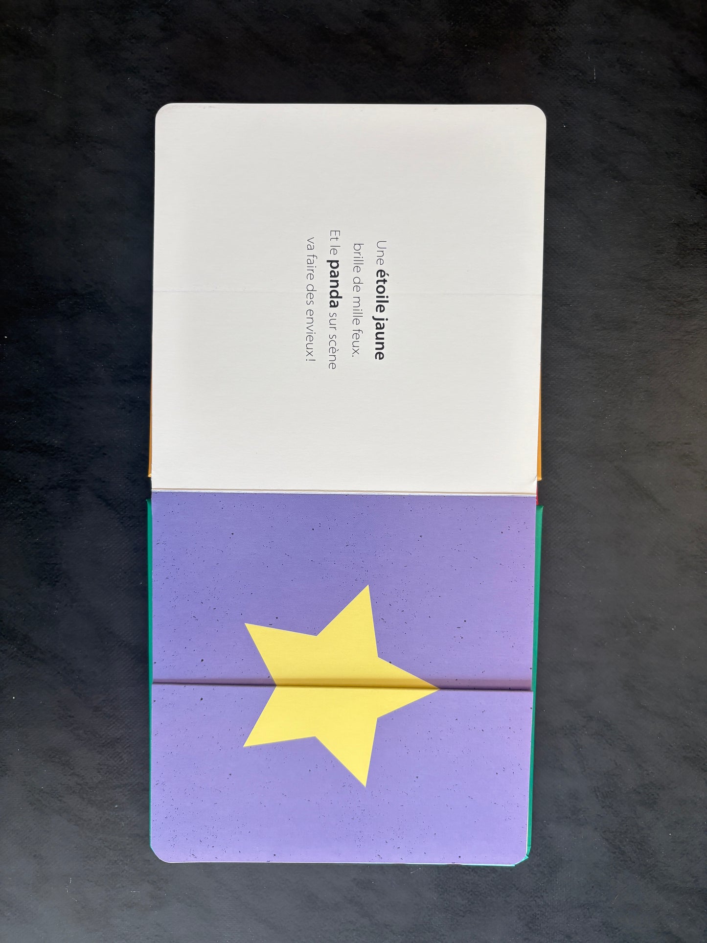 Livre ouvre et découvre - Couleurs, rond... lion !