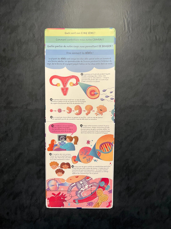 Mon corps - Questions et réponses pour découvrir l'anatomie (5-8 ans)
