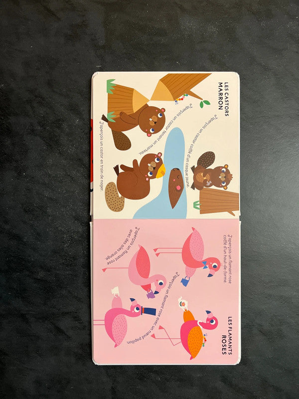 Livre d’apprentissage - J’aperçois les couleurs