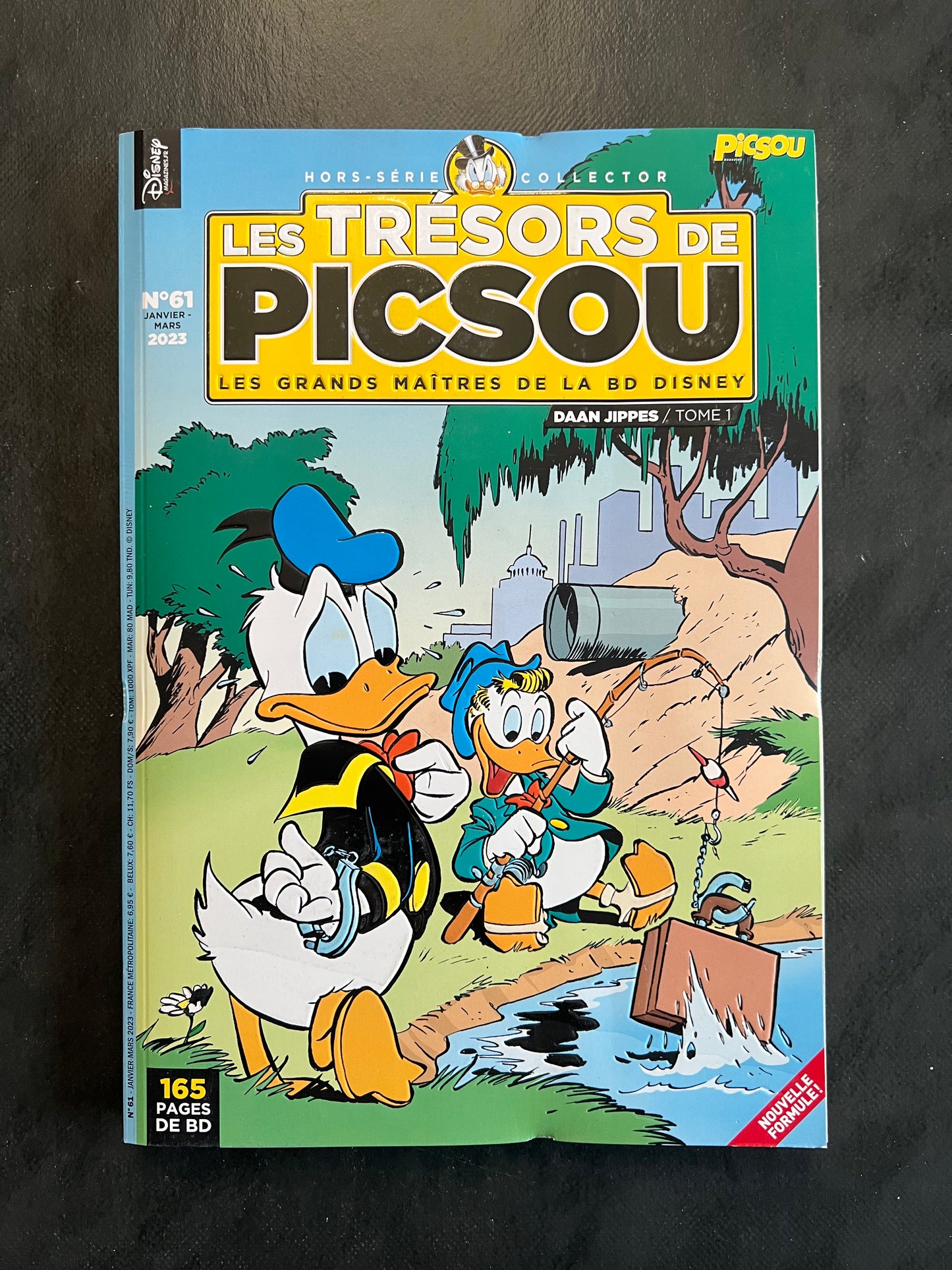 Les trésors de Picsou - les grands maitres de la BD Disney