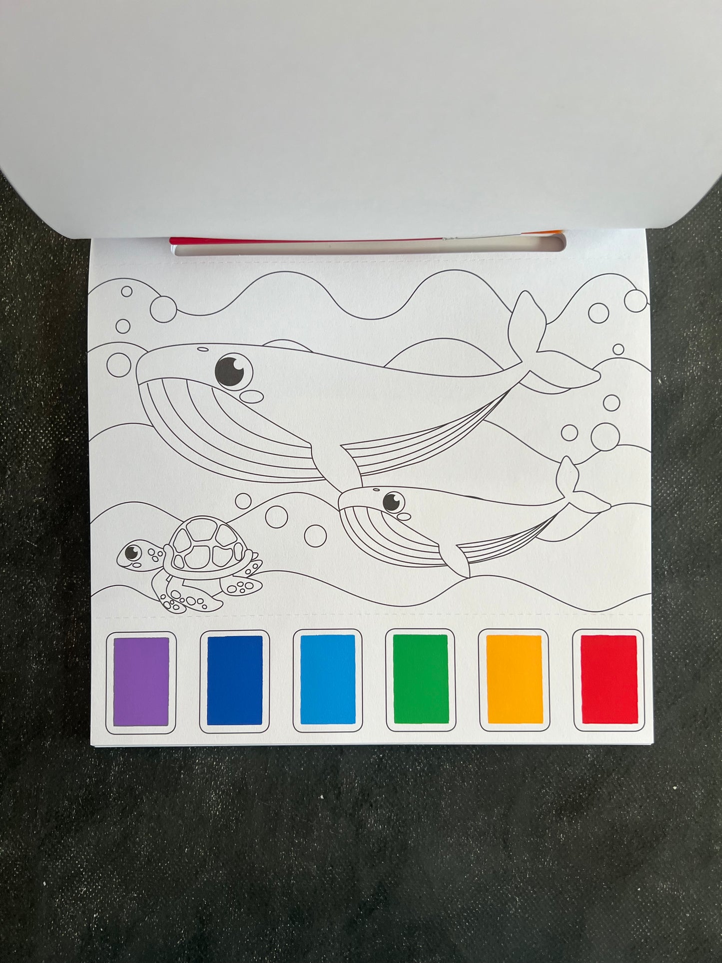 Watercolor paint book - animaux des mers