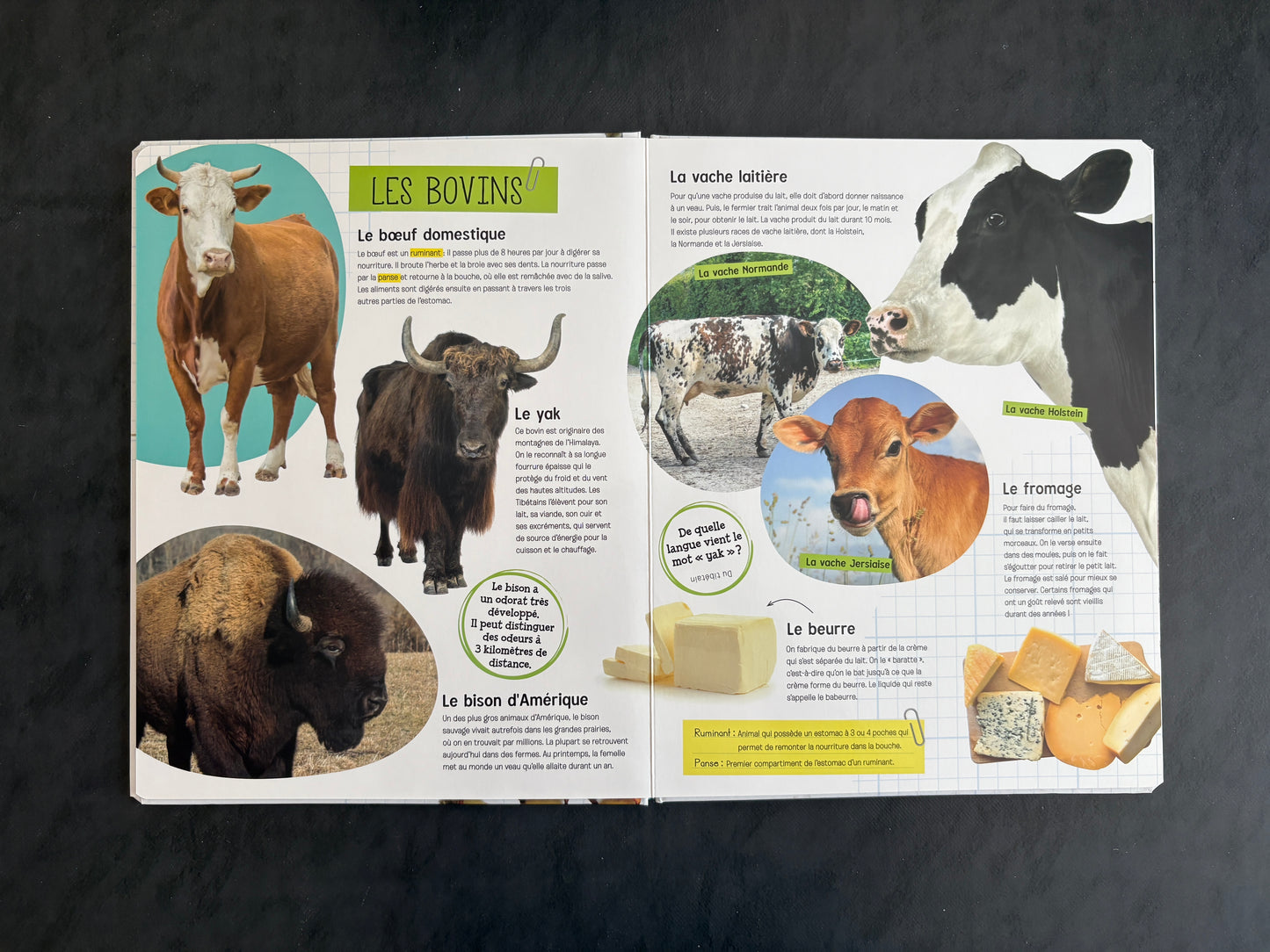 Incroyables animaux de la ferme