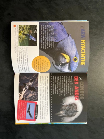 Livre - 100 espèces d’oiseaux à découvrir