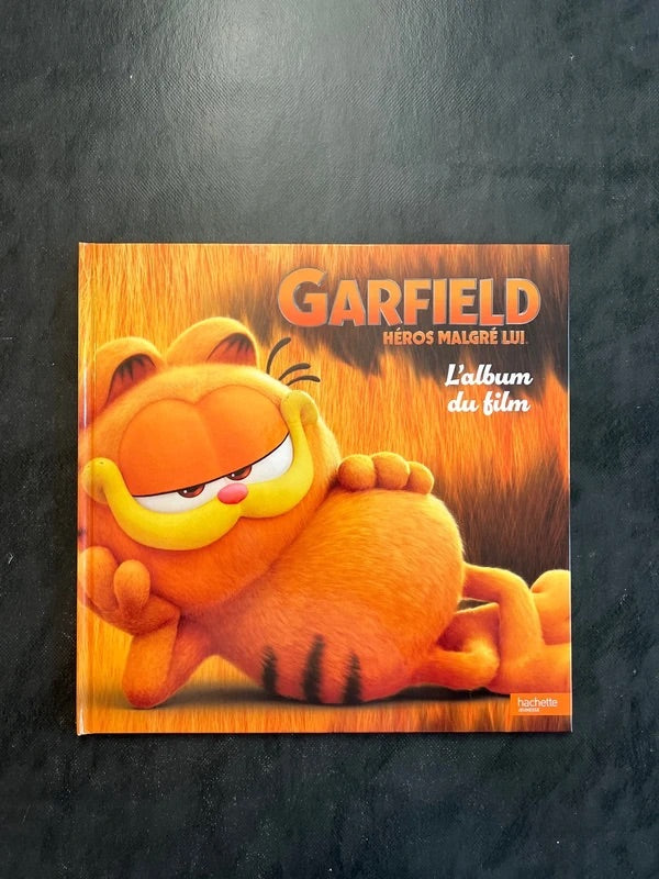 Garfield héros malgré lui