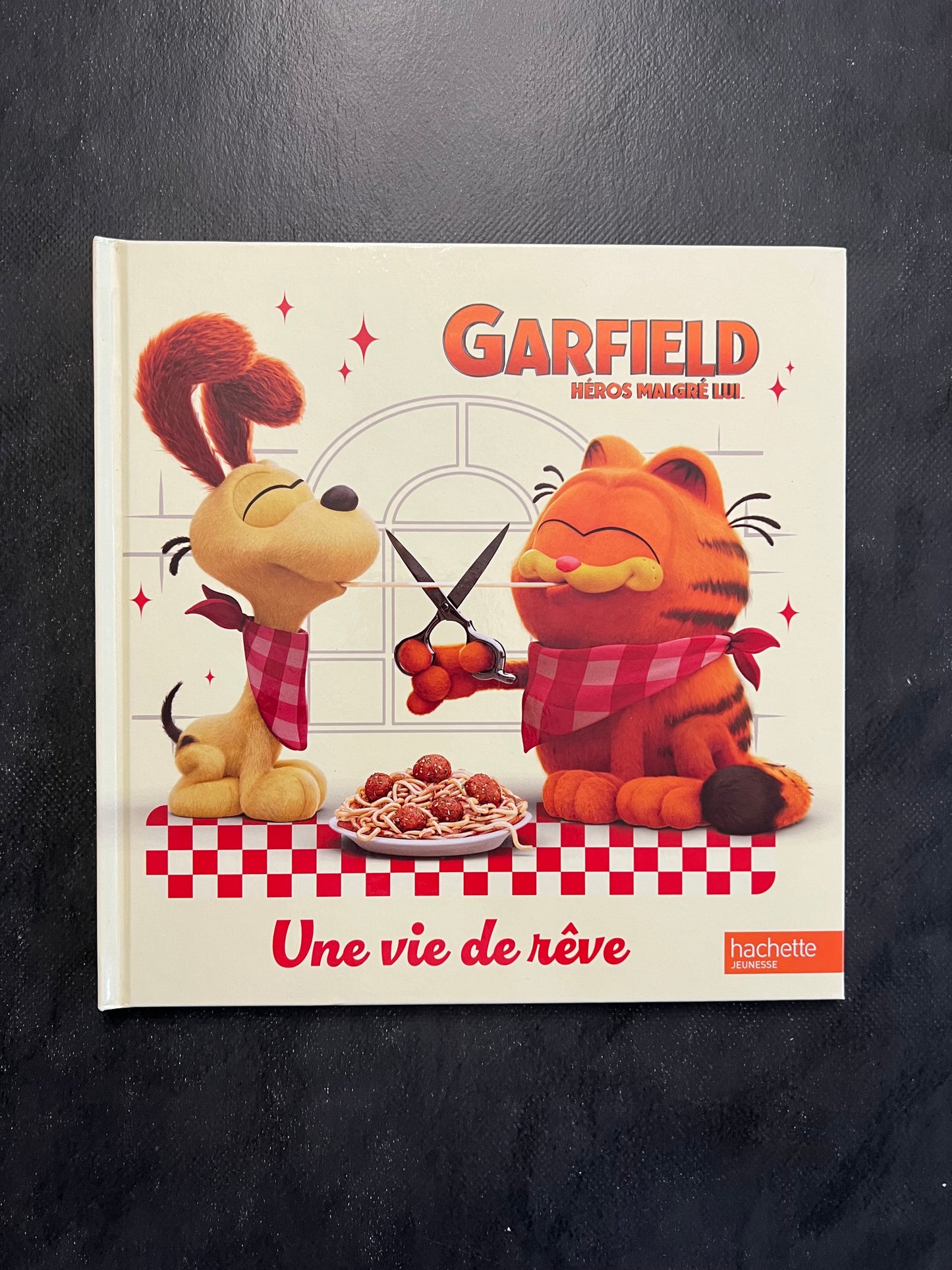 Garfield héros malgré lui - une vie de rêve