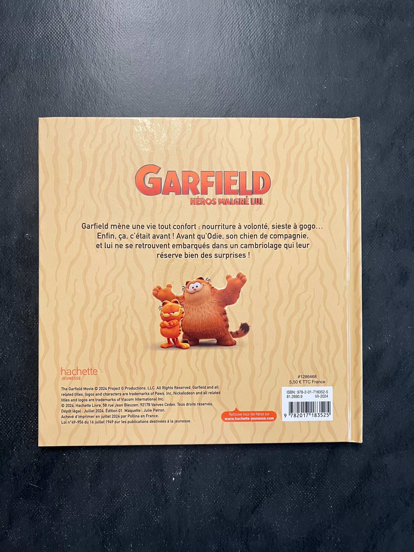 Garfield héros malgré lui - une vie de rêve