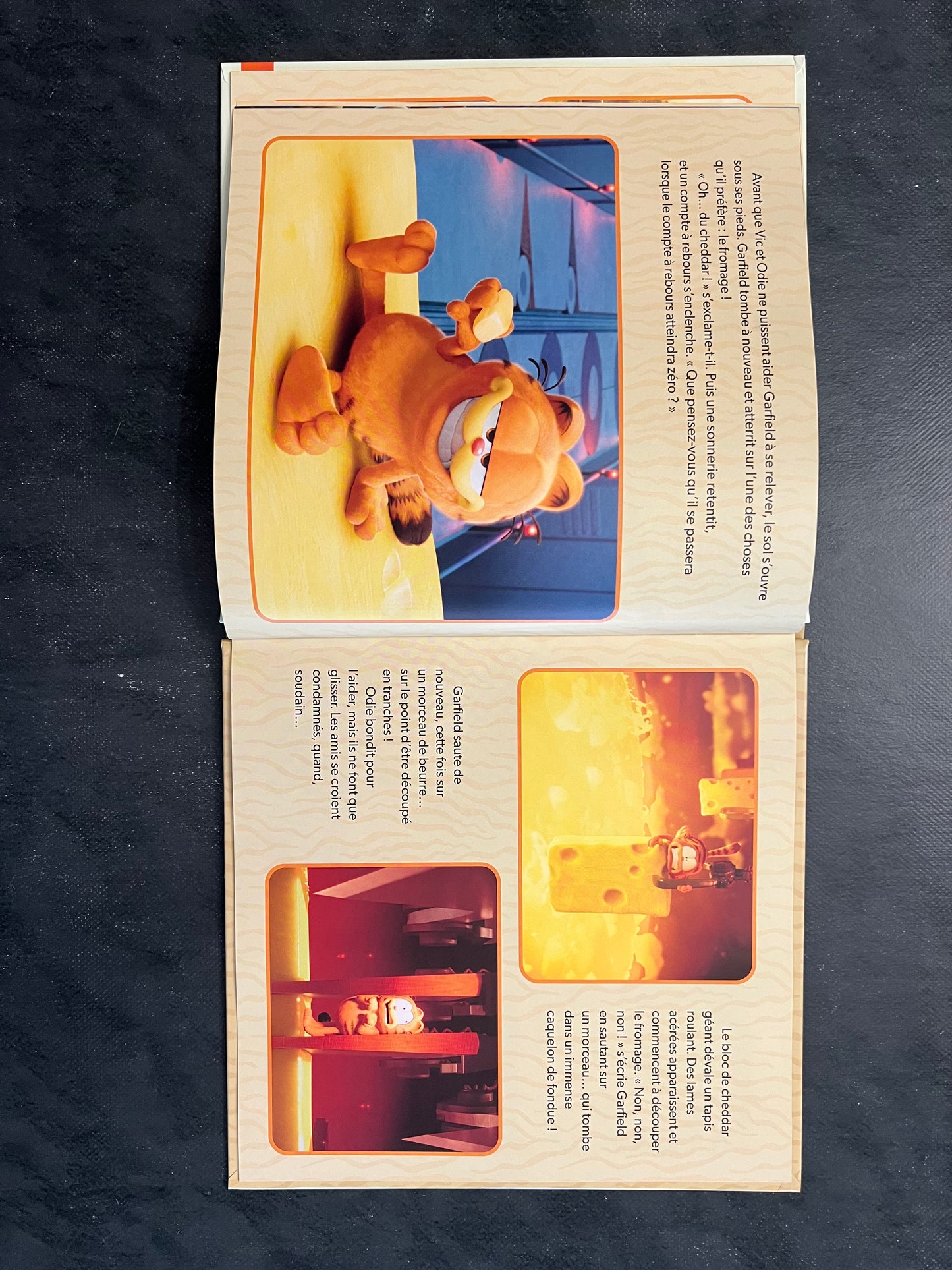 Garfield héros malgré lui - une vie de rêve