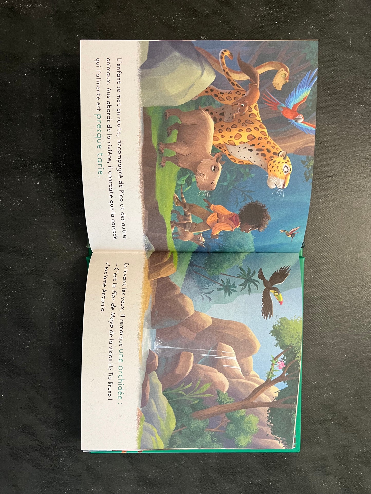 Mon histoire pour la planète - Encanto