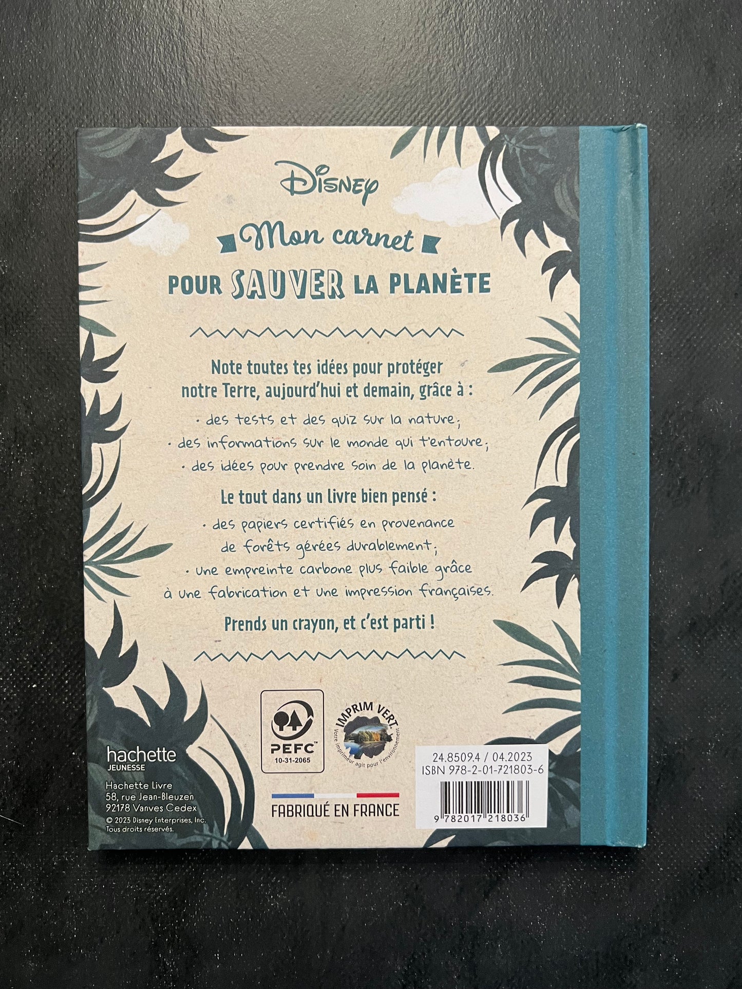 Mon carnet pour sauver la planète - Disney