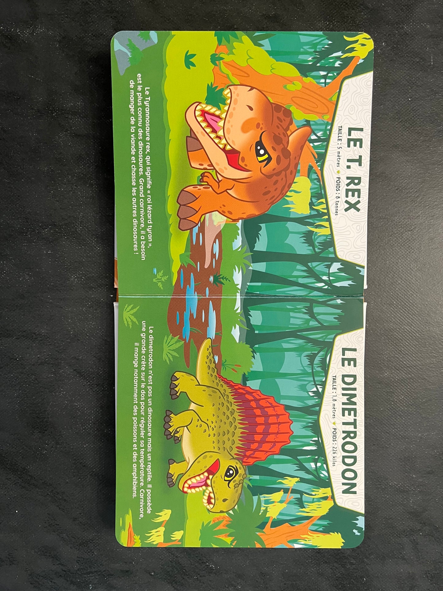 L'imagier des tout petits - les dinosaures