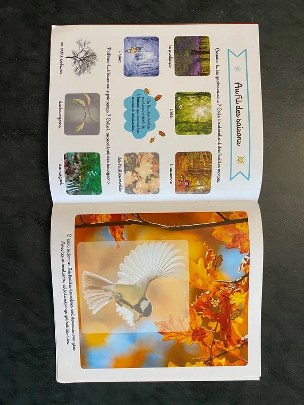 Mon imagier autocollants - La forêt