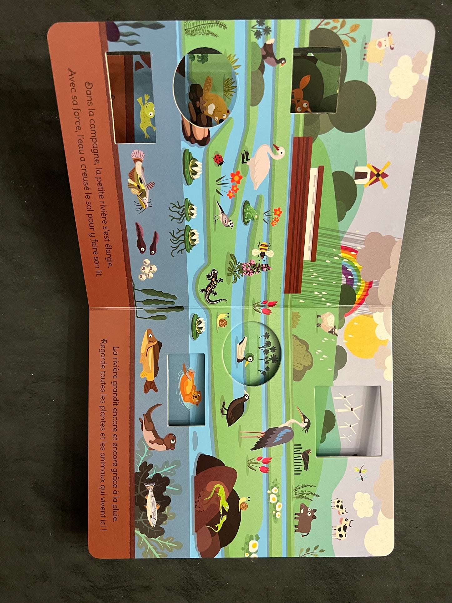 Livre cartonné - le voyage de l'eau