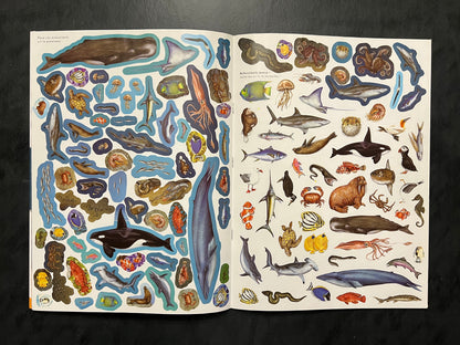 Livre d’activités - les animaux des océans