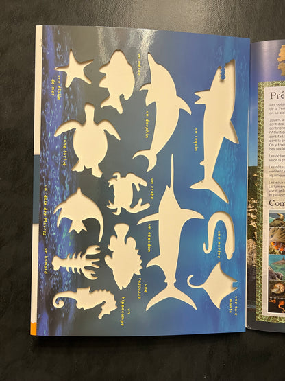 Livre d’activités - les animaux des océans