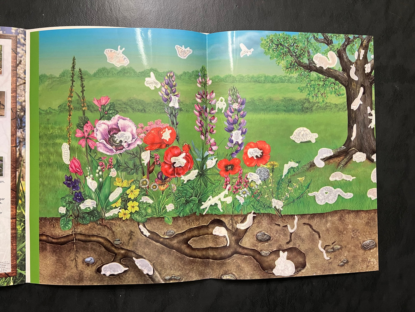 Livre d’activités - les petites bêtes des jardins