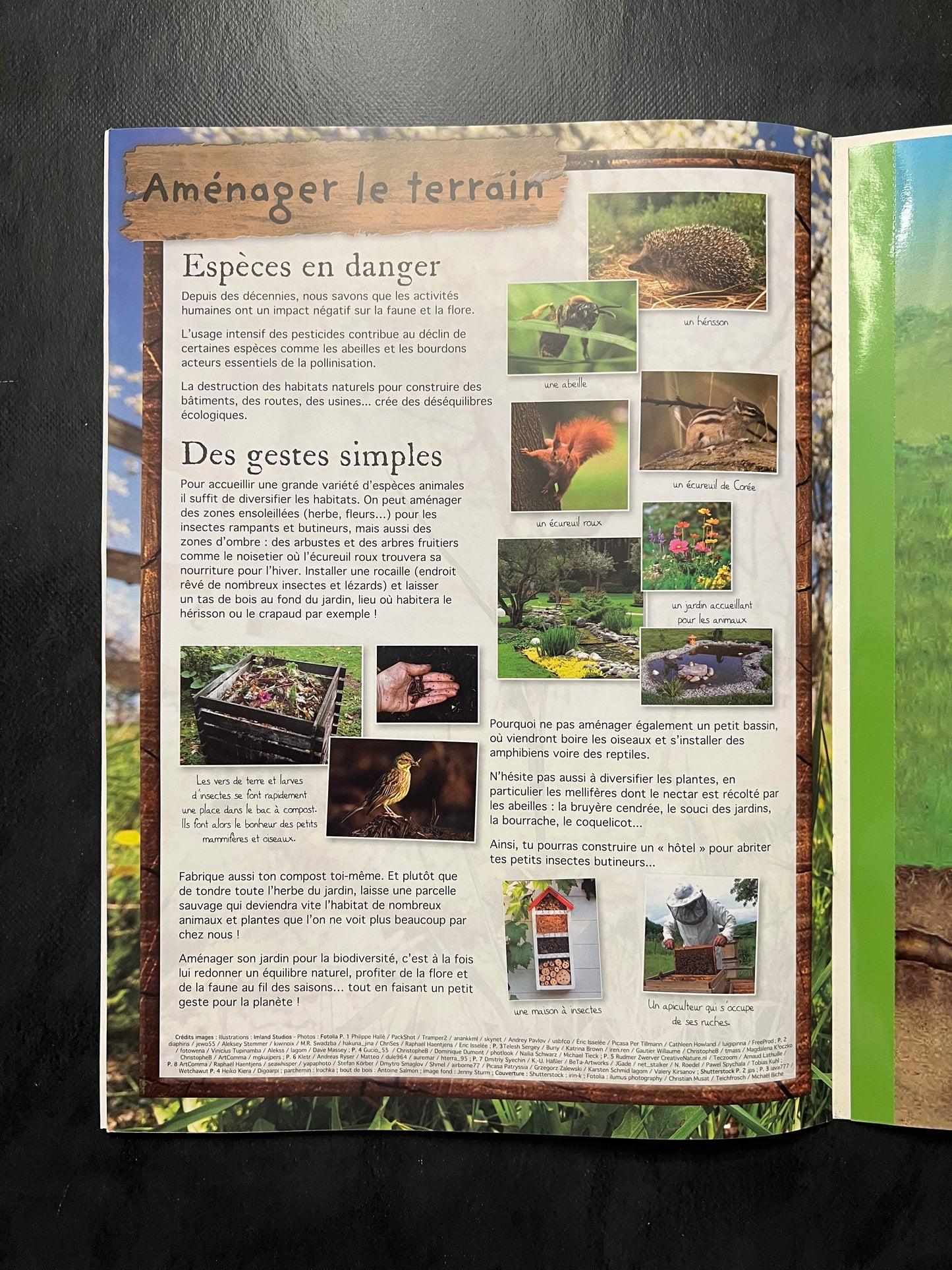 Livre d’activités - les petites bêtes des jardins