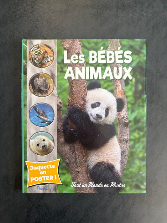 Tout un monde en photos - les bébés animaux
