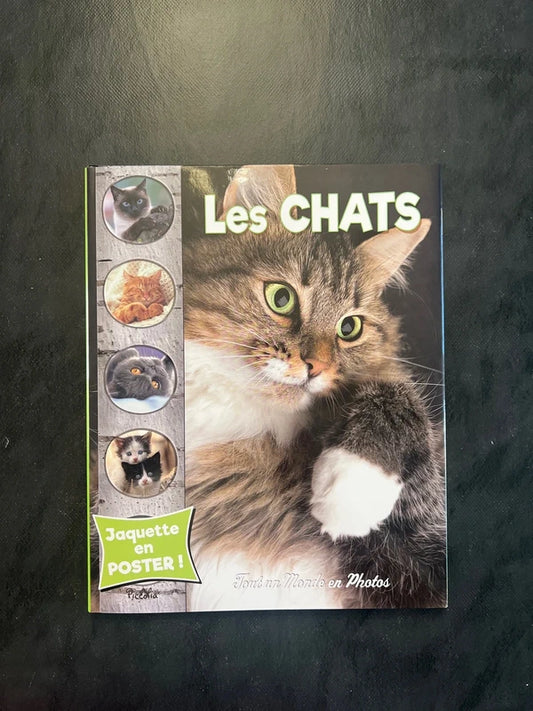 Tout un monde en photos - les chats | Album jeunesse 4-7 ans