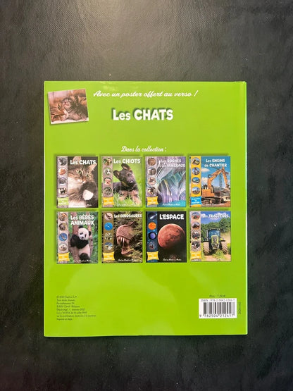 Tout un monde en photos - les chats | Album jeunesse 4-7 ans