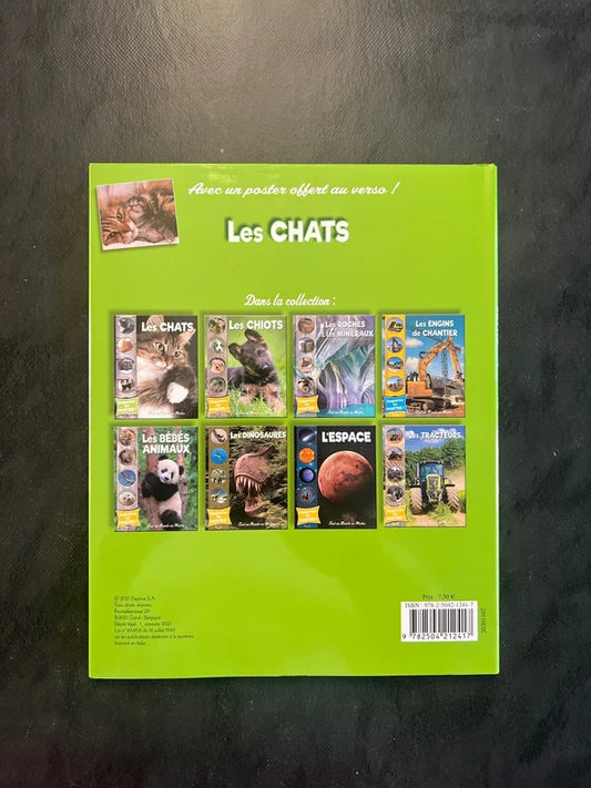 Tout un monde en photos - les chats | Album jeunesse 4-7 ans