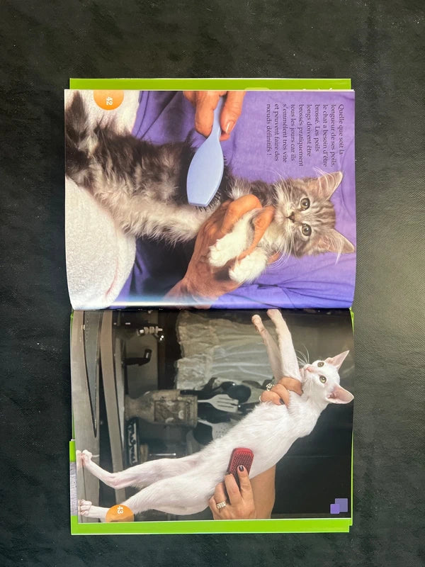 Tout un monde en photos - les chats | Album jeunesse 4-7 ans
