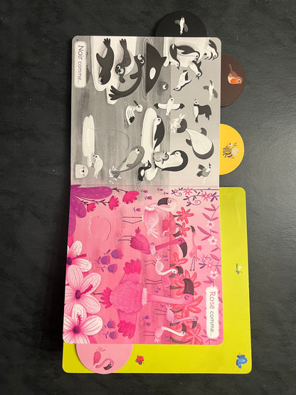 Livre cartonné - les couleurs