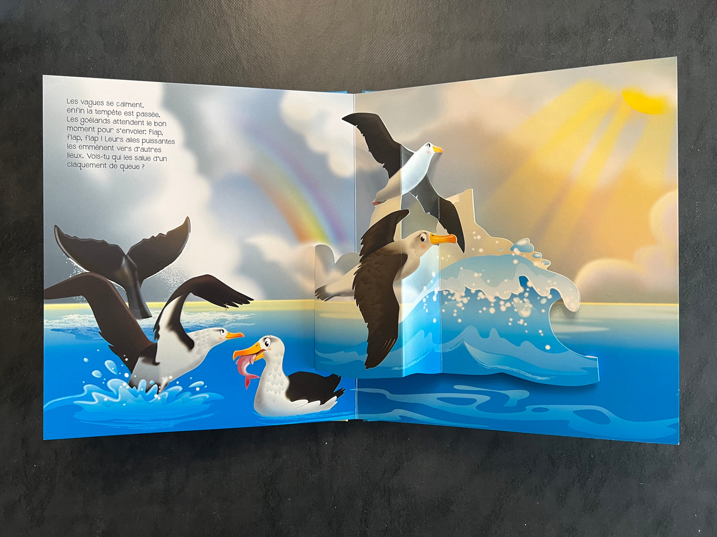 Livre en relief - dans la mer