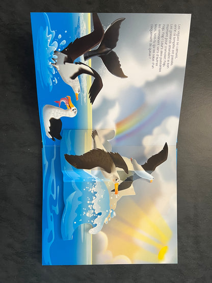 Mon livre pop-up - dans la mer