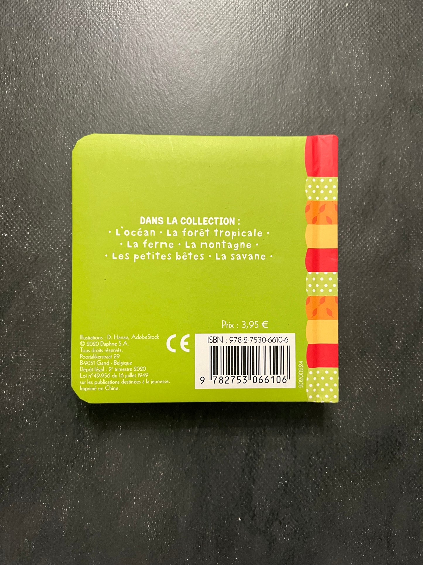 Livre à volets - la forêt tropicale