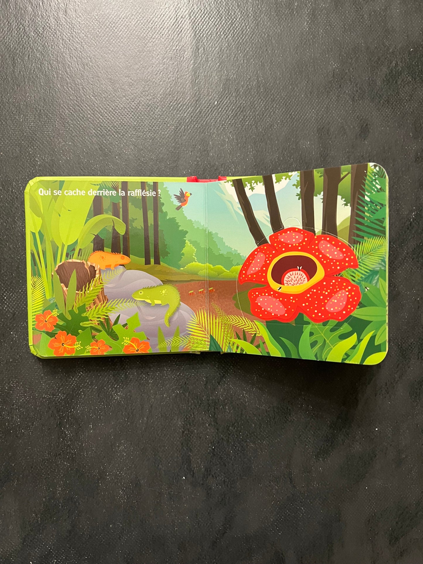 Livre à volets - la forêt tropicale