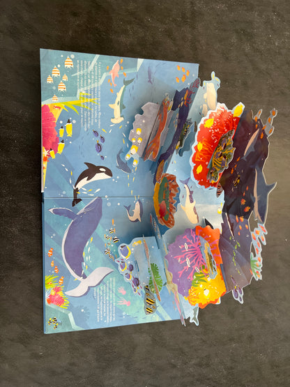 Livre animé - les animaux des océans