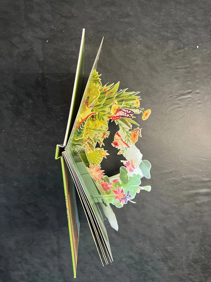 Livre animé - les petites bêtes