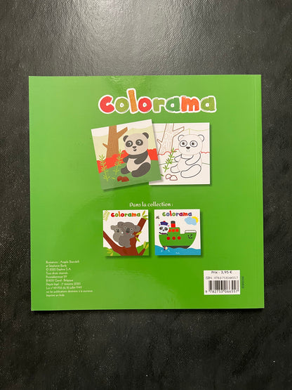 Colorama - koala