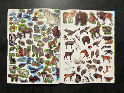 Livre d’activités - les animaux de la montagne