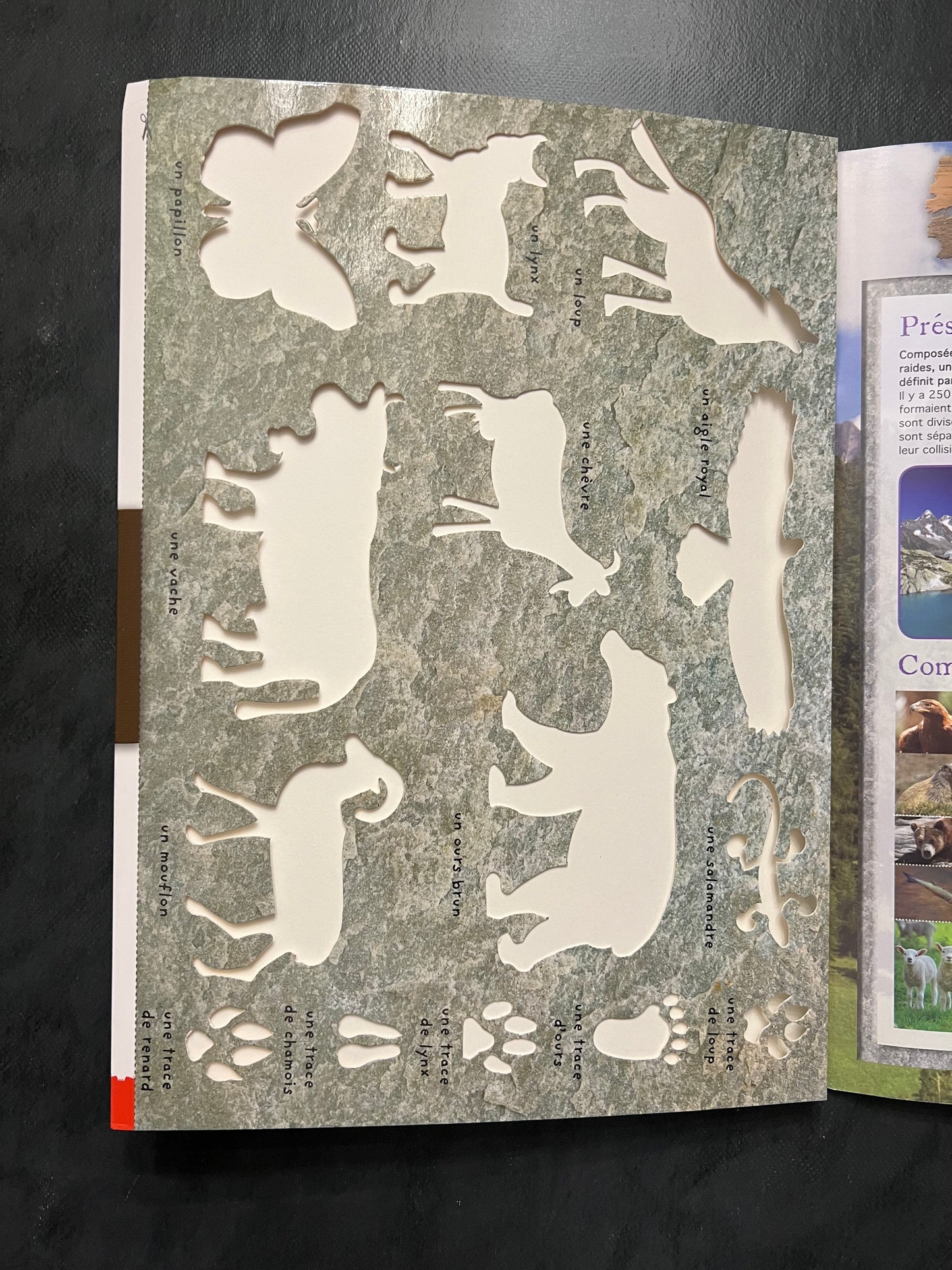 Livre d’activités - les animaux de la montagne