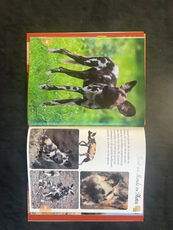 Tout un monde en photos - les animaux de la savane