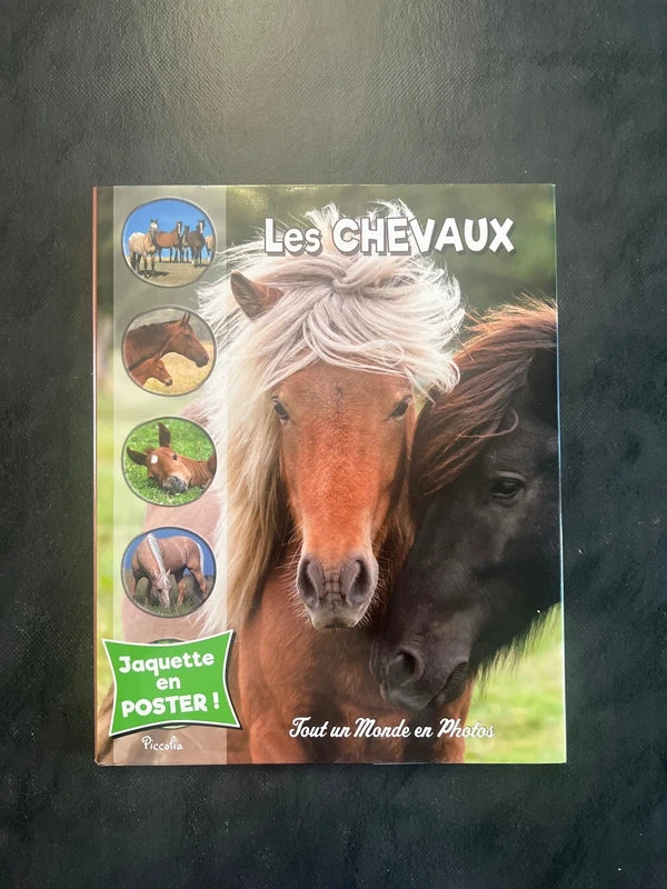 Tout un monde en photos - les chevaux
