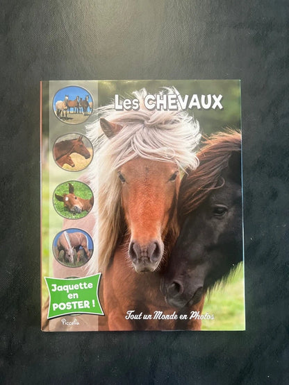 Tout un monde en photos - les chevaux