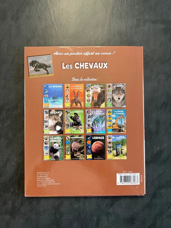 Tout un monde en photos - les chevaux