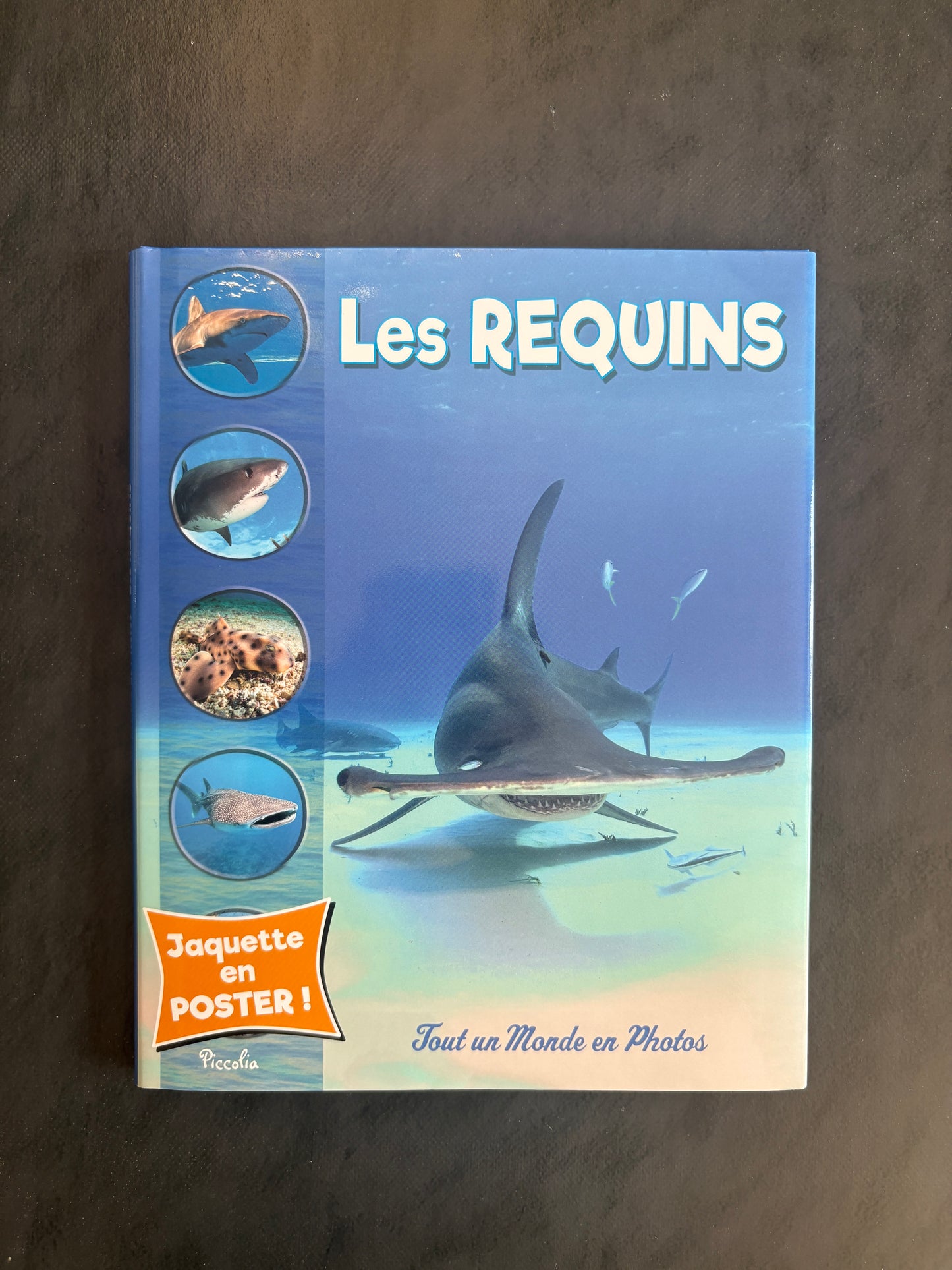 Tout un monde en photos - les requins