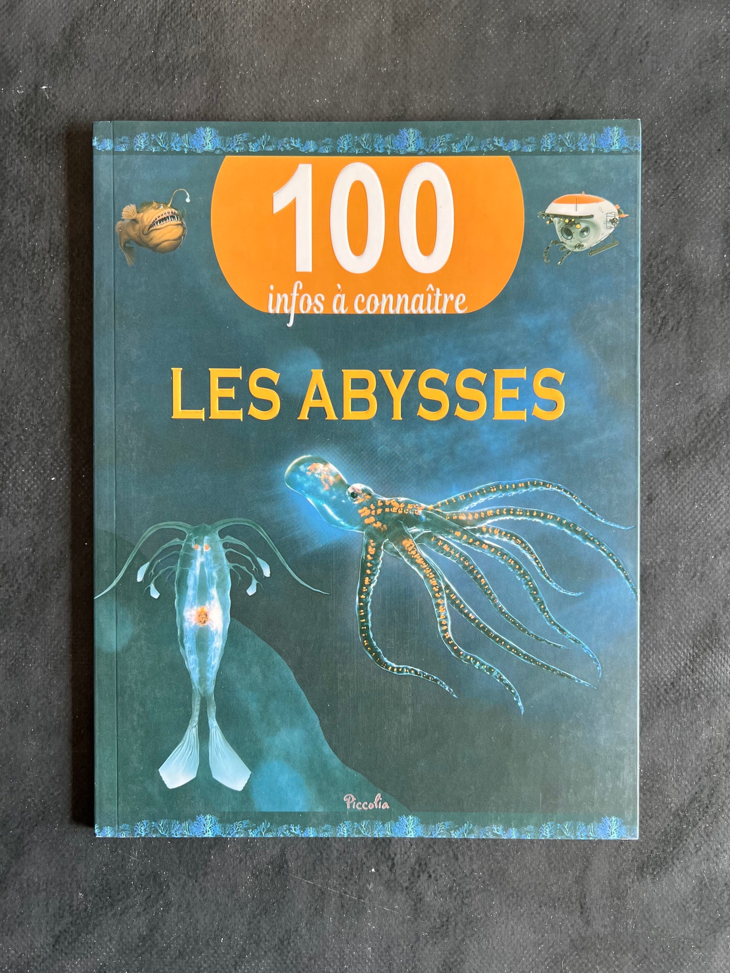100 infos à connaître - les abysses