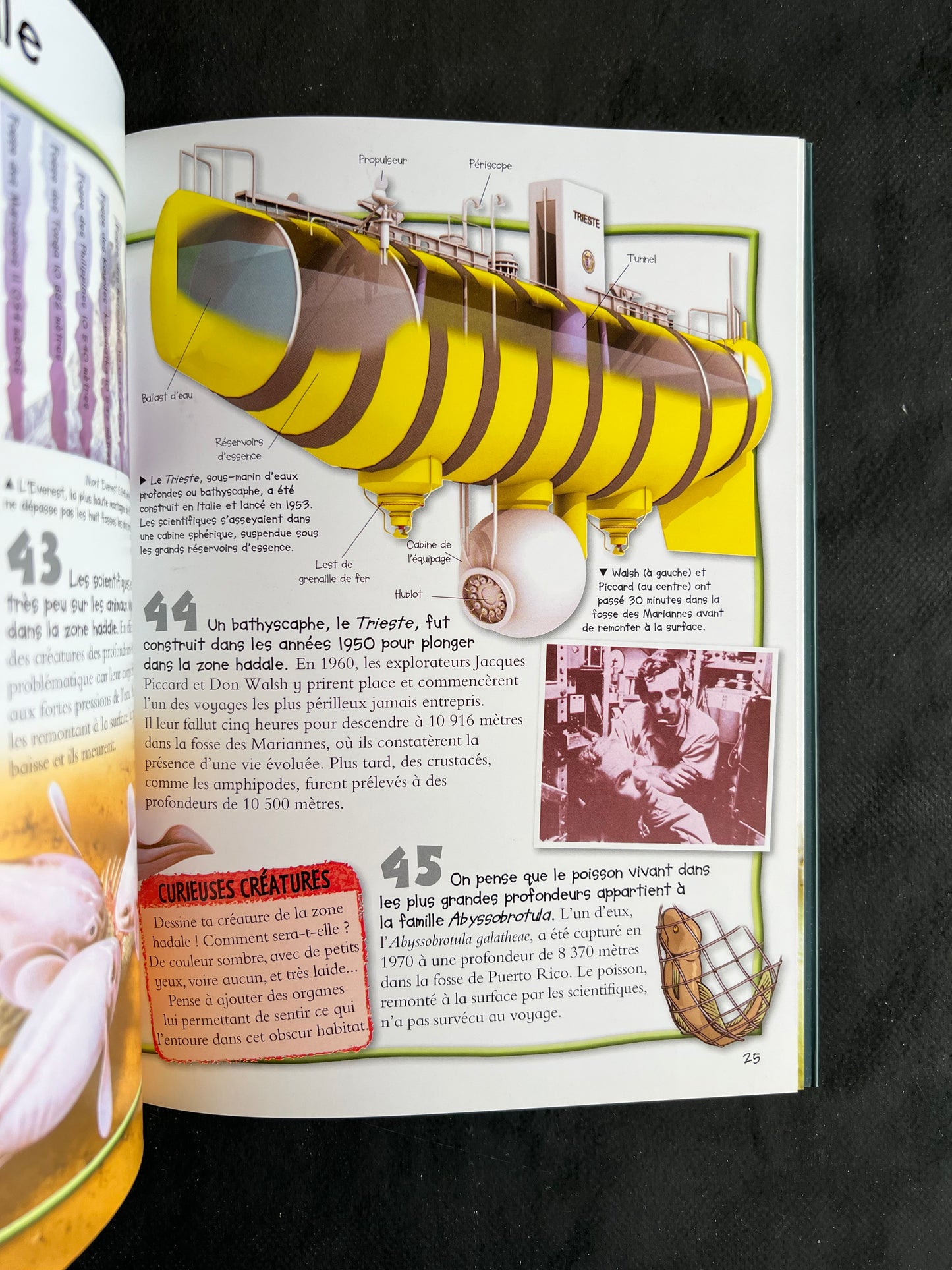 100 infos à connaître - les abysses