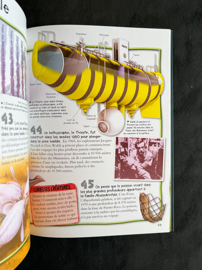 100 infos à connaître - les abysses