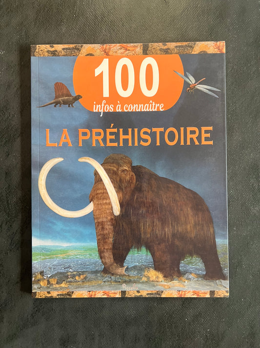 100 infos à connaître - la préhistoire