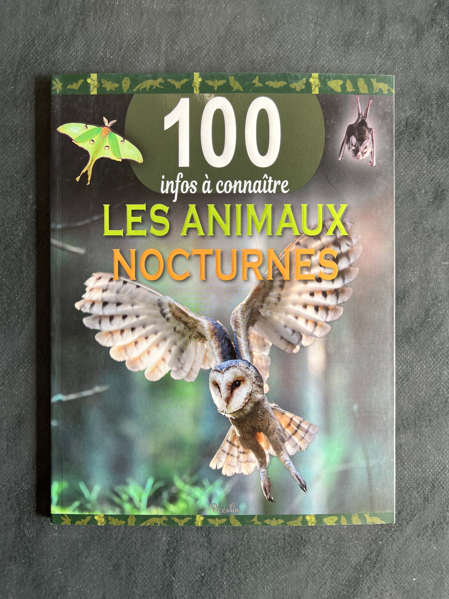 100 infos à connaître - les animaux nocturnes