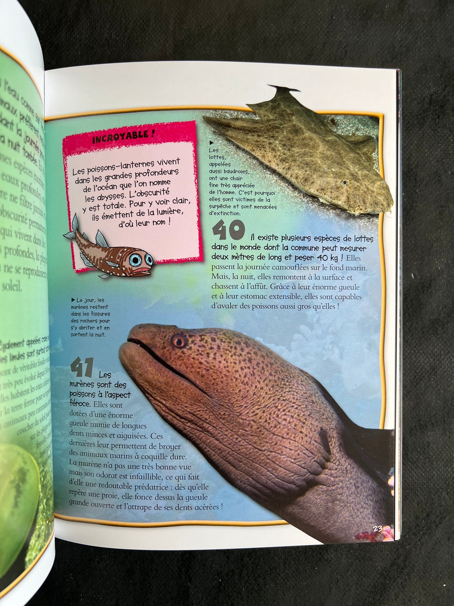 100 infos à connaître - les animaux nocturnes