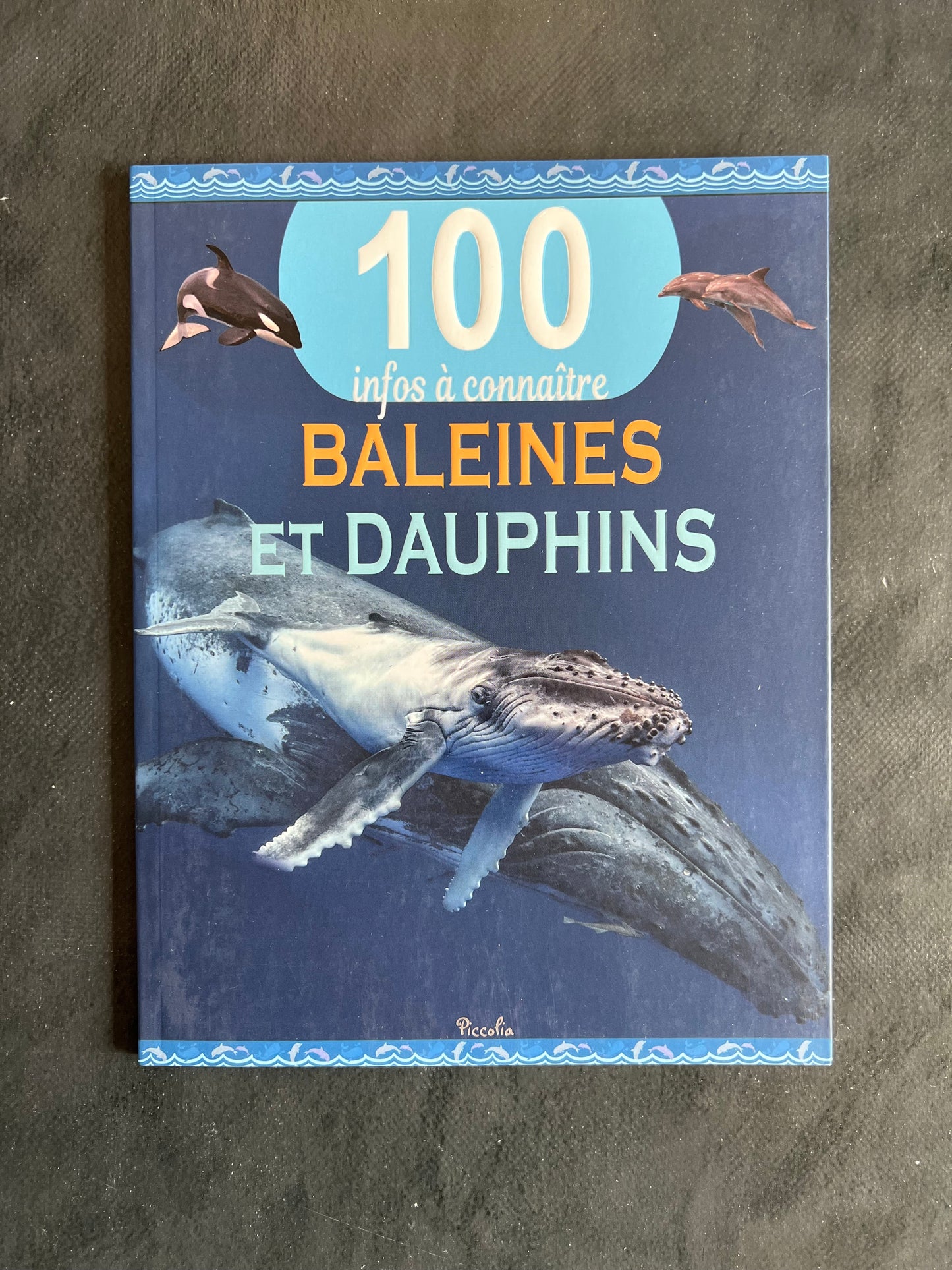 100 infos à connaître - baleines et dauphins